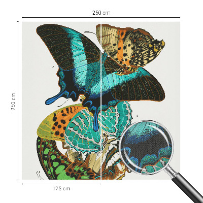 Samolepiaca fototapeta do obývačky Farebné motýle