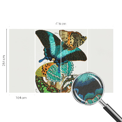 Samolepiaca fototapeta do obývačky Farebné motýle