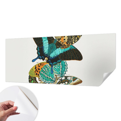 Samolepiaca fototapeta do obývačky Farebné motýle