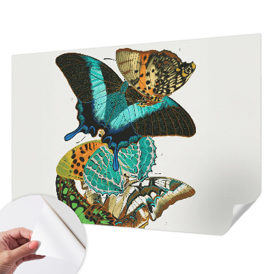 Samolepiaca fototapeta do obývačky Farebné motýle