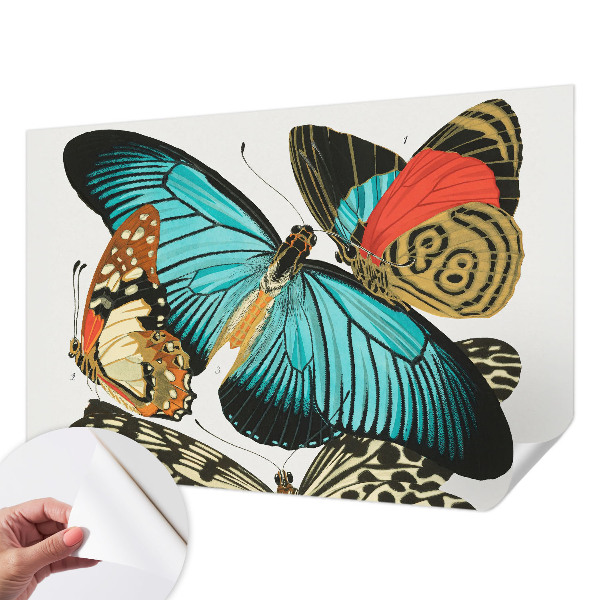 Samolepiaca fototapeta do spálne Farebné motýle