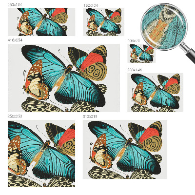 Samolepiaca fototapeta do spálne Farebné motýle