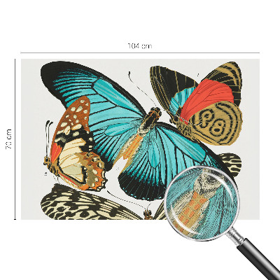 Samolepiaca fototapeta do spálne Farebné motýle