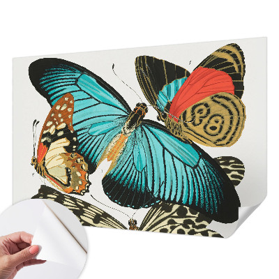 Samolepiaca fototapeta do spálne Farebné motýle