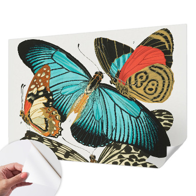 Samolepiaca fototapeta do spálne Farebné motýle