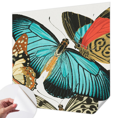 Samolepiaca fototapeta do spálne Farebné motýle