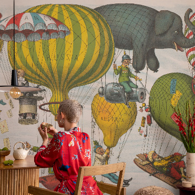 3D fototapeta Cesta balónom