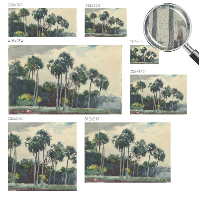 3D tapeta Exotické palmy