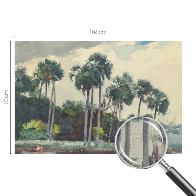 3D tapeta Exotické palmy