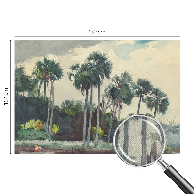 3D tapeta Exotické palmy