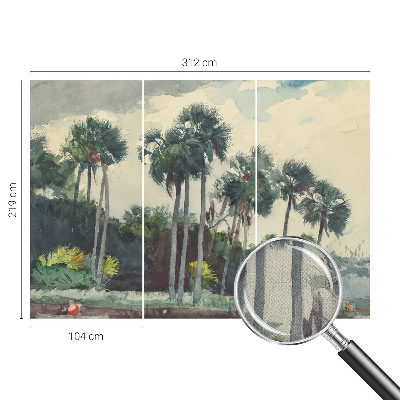 3D tapeta Exotické palmy