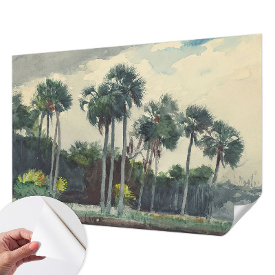 3D tapeta Exotické palmy