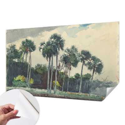 3D tapeta Exotické palmy