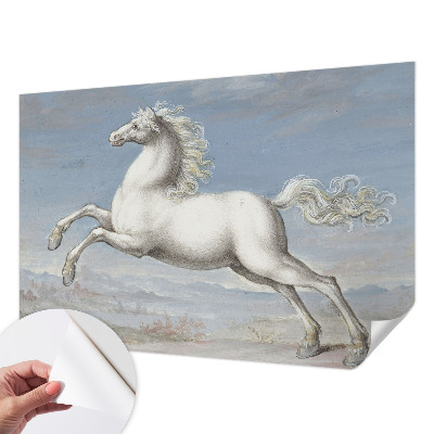 Detská fototapeta Kone v skoku