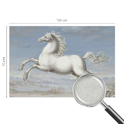 Detská fototapeta Kone v skoku