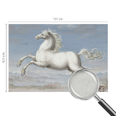 Detská fototapeta Kone v skoku