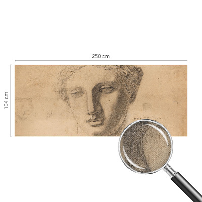 Samolepiaca tapeta Ženský portrét