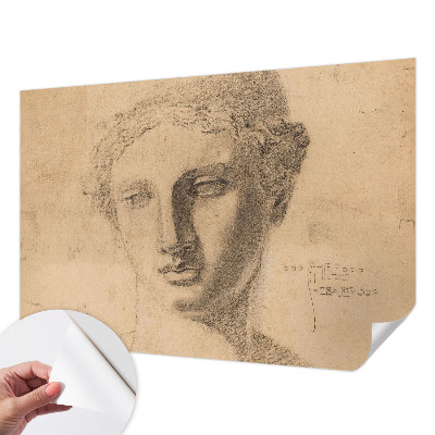 Samolepiaca tapeta Ženský portrét