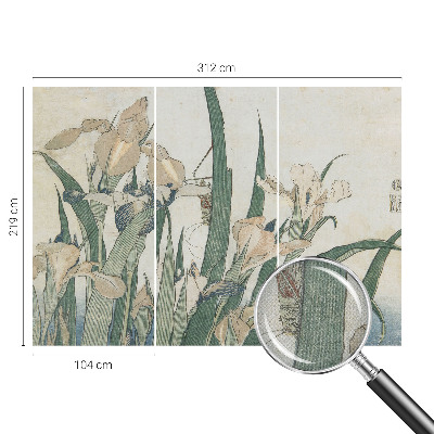 3D tapeta Jemné kosatce