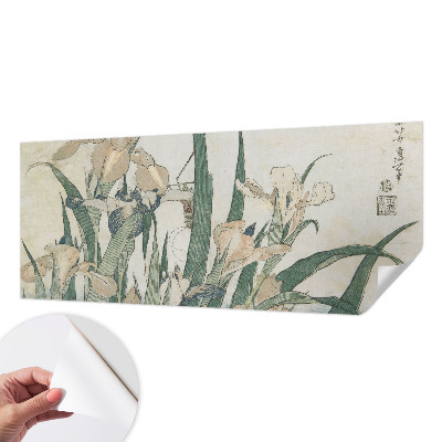 3D tapeta Jemné kosatce