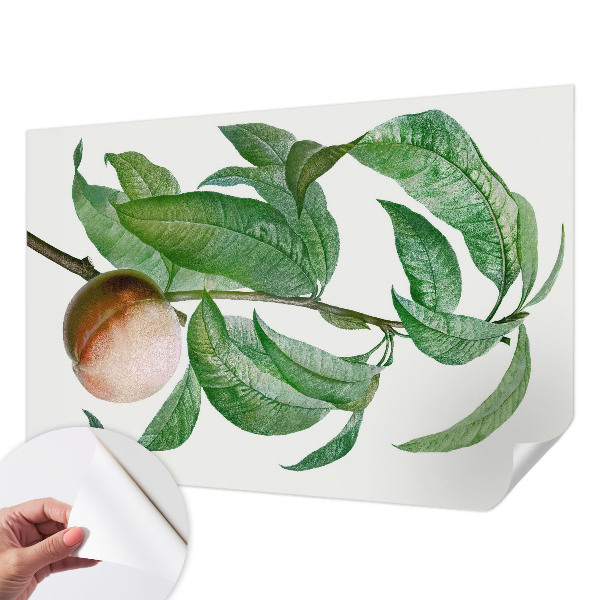 Fotografická tapeta do detskej izby Zrelá broskyňa