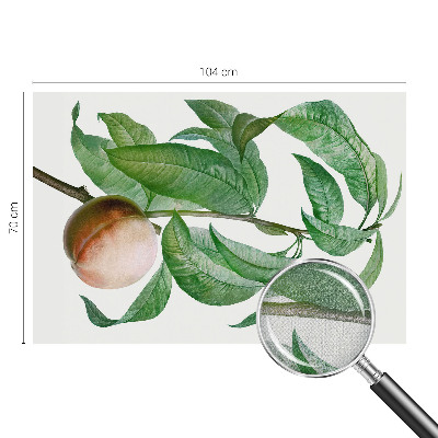 Fotografická tapeta do detskej izby Zrelá broskyňa