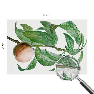 Fotografická tapeta do detskej izby Zrelá broskyňa