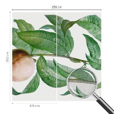 Fotografická tapeta do detskej izby Zrelá broskyňa