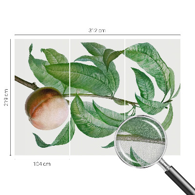 Fotografická tapeta do detskej izby Zrelá broskyňa