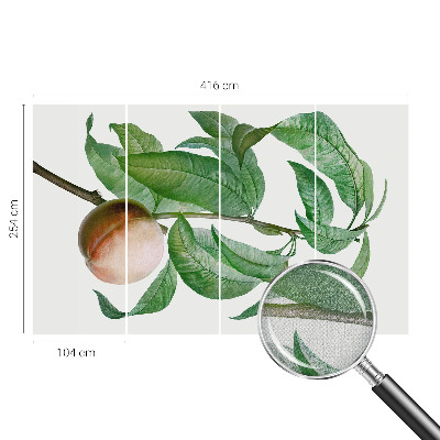 Fotografická tapeta do detskej izby Zrelá broskyňa