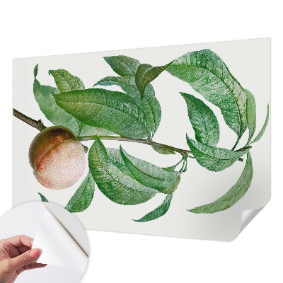 Fotografická tapeta do detskej izby Zrelá broskyňa