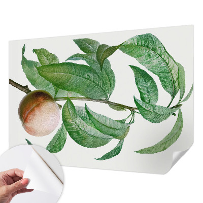 Fotografická tapeta do detskej izby Zrelá broskyňa