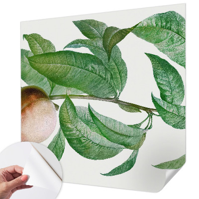 Fotografická tapeta do detskej izby Zrelá broskyňa