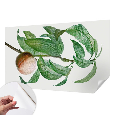 Fotografická tapeta do detskej izby Zrelá broskyňa