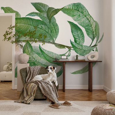 Fotografická tapeta do detskej izby Zrelá broskyňa