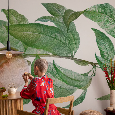 Fotografická tapeta do detskej izby Zrelá broskyňa