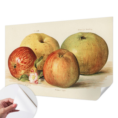 3D tapeta na stenu Jabloňové kvety