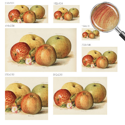 3D tapeta na stenu Jabloňové kvety