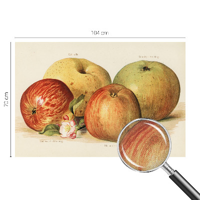 3D tapeta na stenu Jabloňové kvety