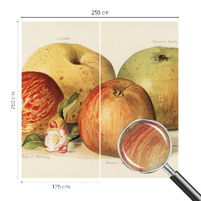 3D tapeta na stenu Jabloňové kvety