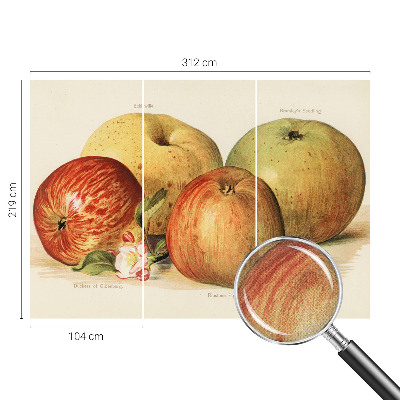 3D tapeta na stenu Jabloňové kvety