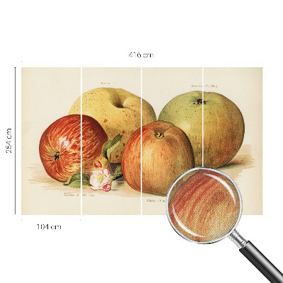 3D tapeta na stenu Jabloňové kvety