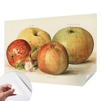 3D tapeta na stenu Jabloňové kvety