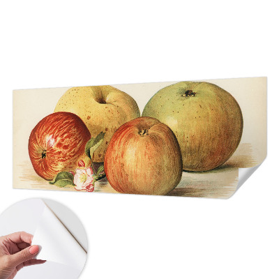 3D tapeta na stenu Jabloňové kvety