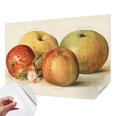 3D tapeta na stenu Jabloňové kvety