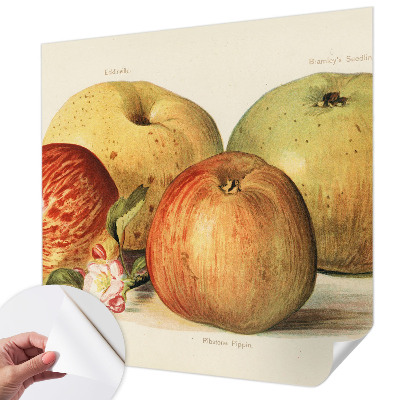 3D tapeta na stenu Jabloňové kvety