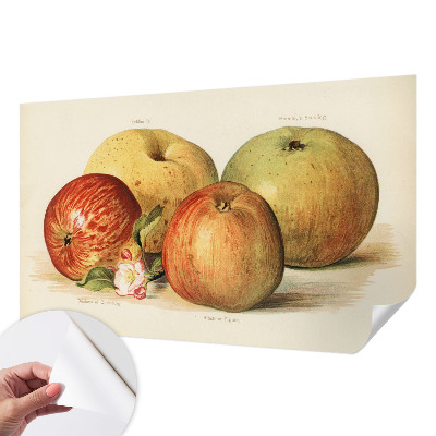 3D tapeta na stenu Jabloňové kvety