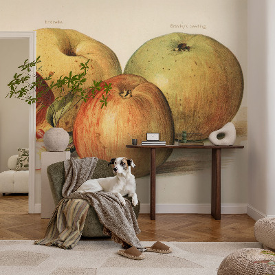 3D tapeta na stenu Jabloňové kvety