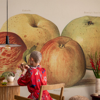 3D tapeta na stenu Jabloňové kvety