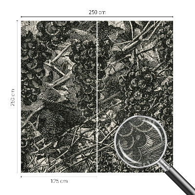 3D tapeta Hroznová potlač